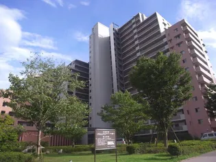 スターコート豊洲の画像