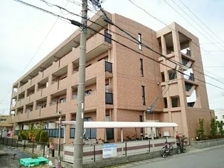 フリュイティア1の画像