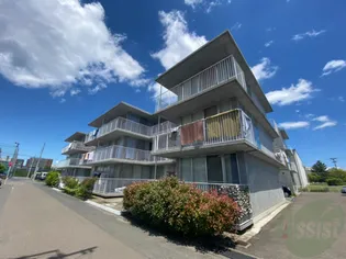 オレンジフラットの画像