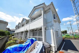 エクセル渡辺の画像