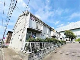 タウニー30の画像