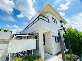 イルカコートの画像