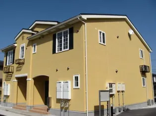 ニューフォレスト Bの画像