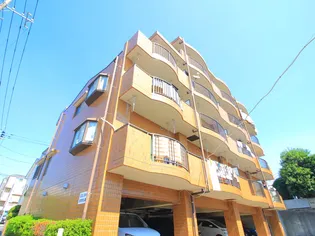 ケイズコロニーの画像