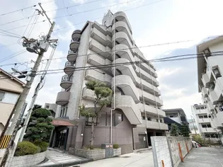 ワイズフィールドの画像