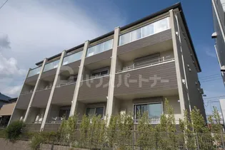 ステラKIIの画像