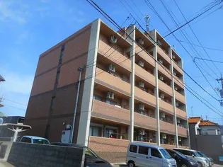 サンリット パイン ニードルの画像