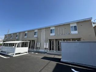 トータスVの画像