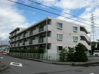 フラーリッシュマンションの画像