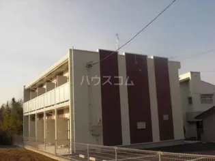 SUZUKIの画像