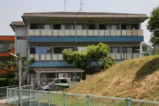 ドルチェ向ヶ丘【3階】の外観