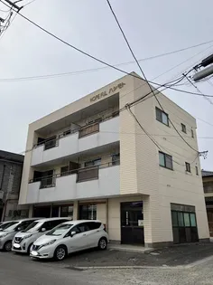 ホープフルハシモトの画像