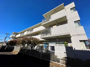 ドルミールIIの画像