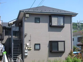 プリムローズの画像