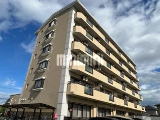 スカイコートの画像