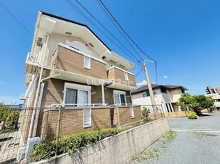 リトル ウイングの画像