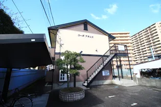 コーポアネシスの画像