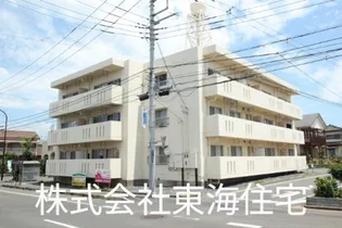 金上ハイツの画像