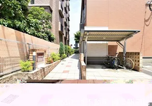 ファイン ネクストの画像