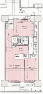 アルファライフ本通り【11階】の間取り