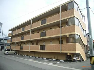 シャルムの画像