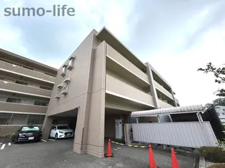 ヴィーブルコートの画像