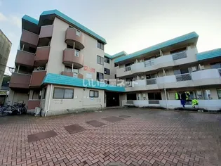 ルピナスの画像