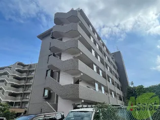 ウィスタリアIIIの画像