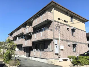 セレーノ壱 弐番館の画像