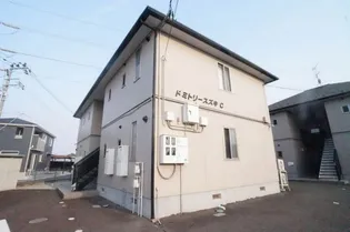 ドミトリースズキCの画像