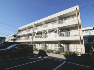 アンプルールフェールヨシノの画像
