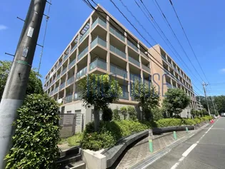 ウィスタリアオークの画像