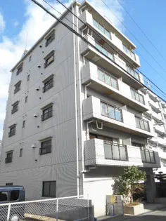 キャロル柴原の画像