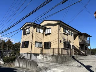 ベル川奈の画像