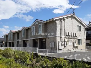 モクレレの画像