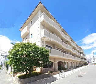 ジェイ ジルーBの画像