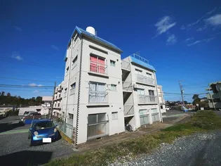 サフィニア会瀬【3階】の外観