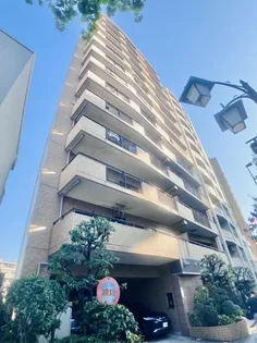 セザール第三三ノ輪【13階】の外観