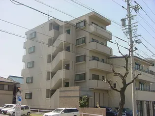 エクセレントの画像