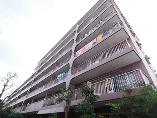 メゾンドール新多摩川の画像