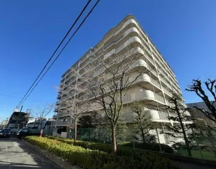 青木橋スカイハイツの画像