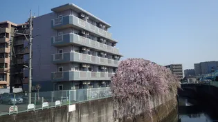 アムール祥の画像