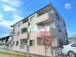 エバーラスティングの画像