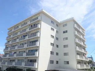 ニュー玉川マンションの画像
