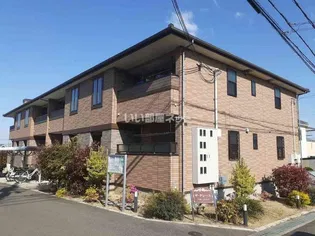 ザ グレースの画像
