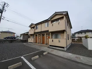 ベルフラワーの画像