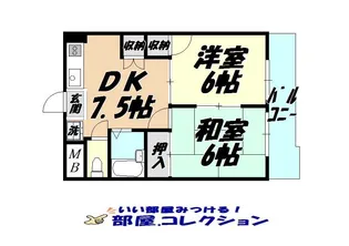 コーポ大興【7階】の間取り