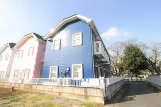 セルリアンローズの画像