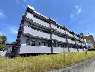 メゾンエトワール柏木【2階】の外観