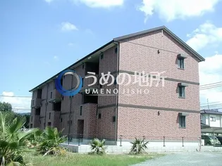 カトレアコートの画像